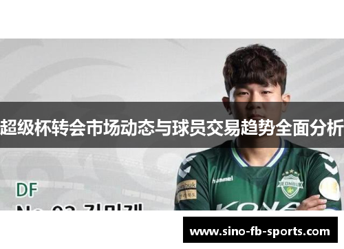 超级杯转会市场动态与球员交易趋势全面分析